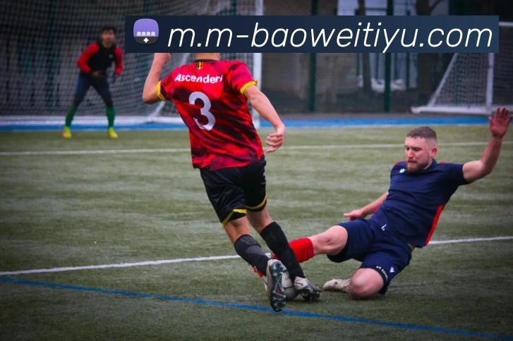 宝威体育平台生态图